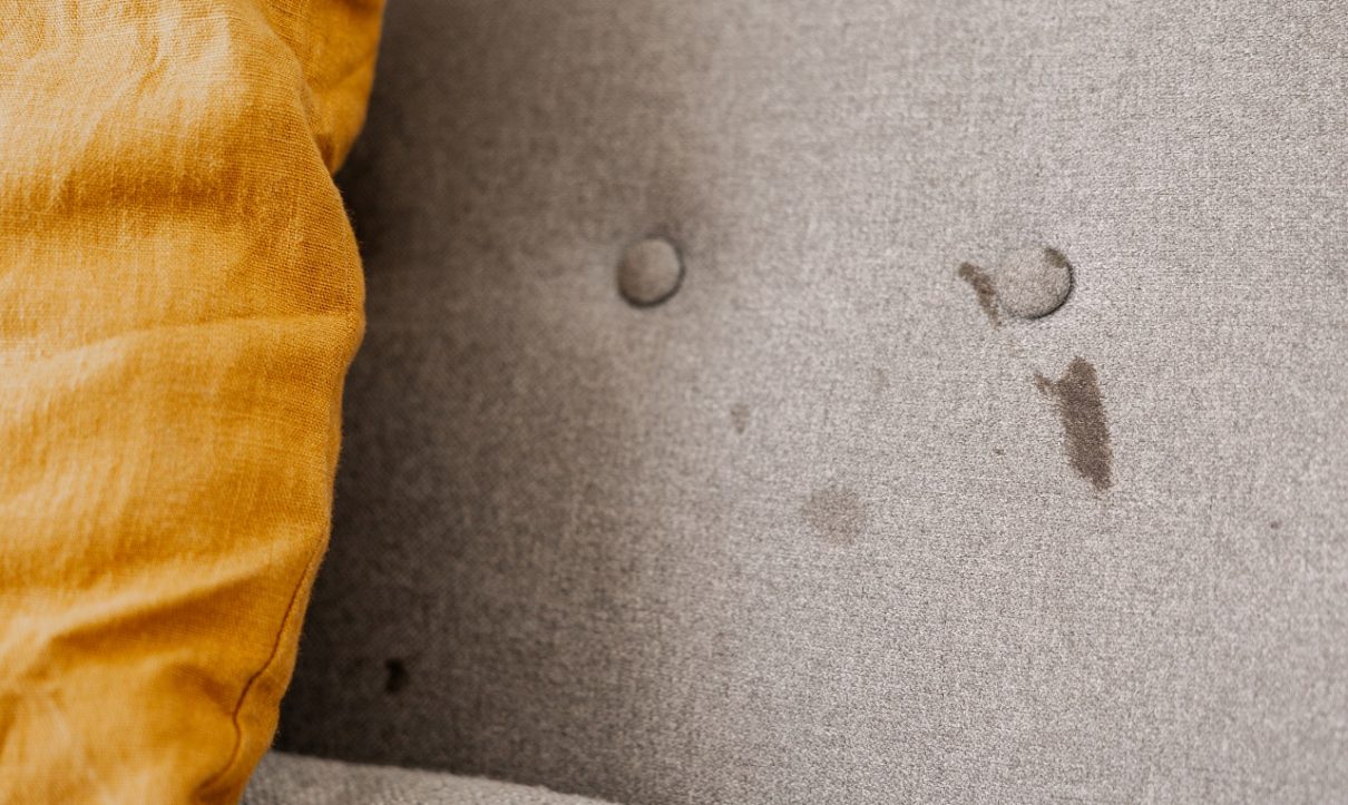 Pet Stain