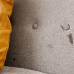 Pet Stain