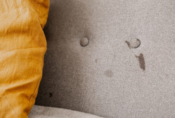 Pet Stain