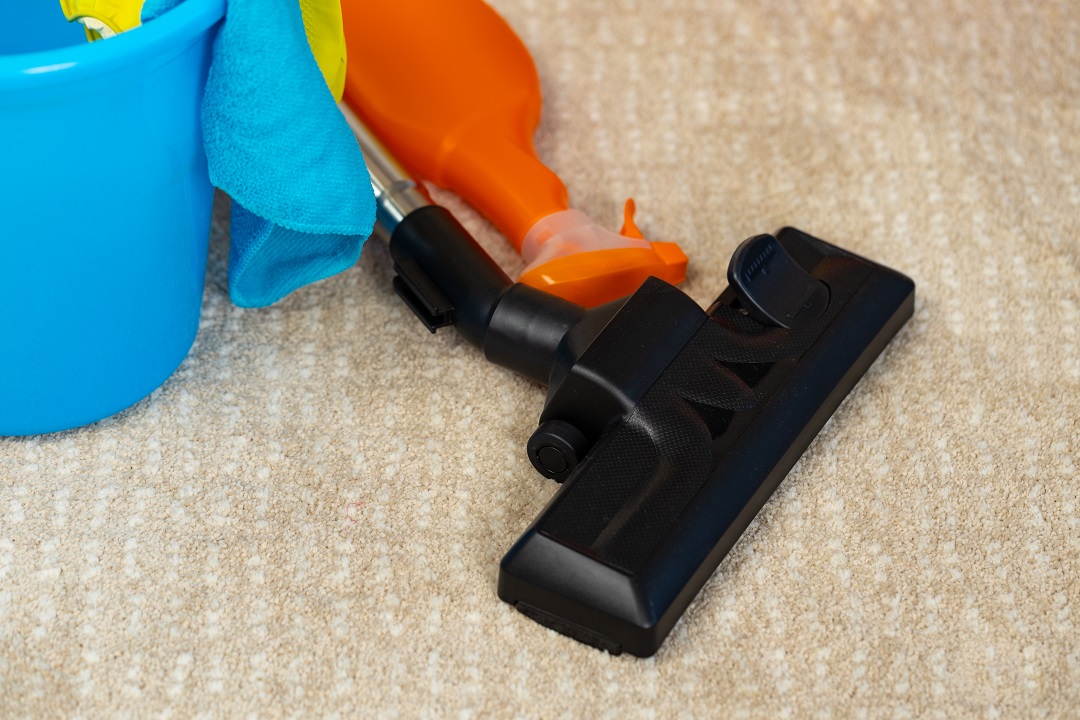 Professional Carpet Cleaning